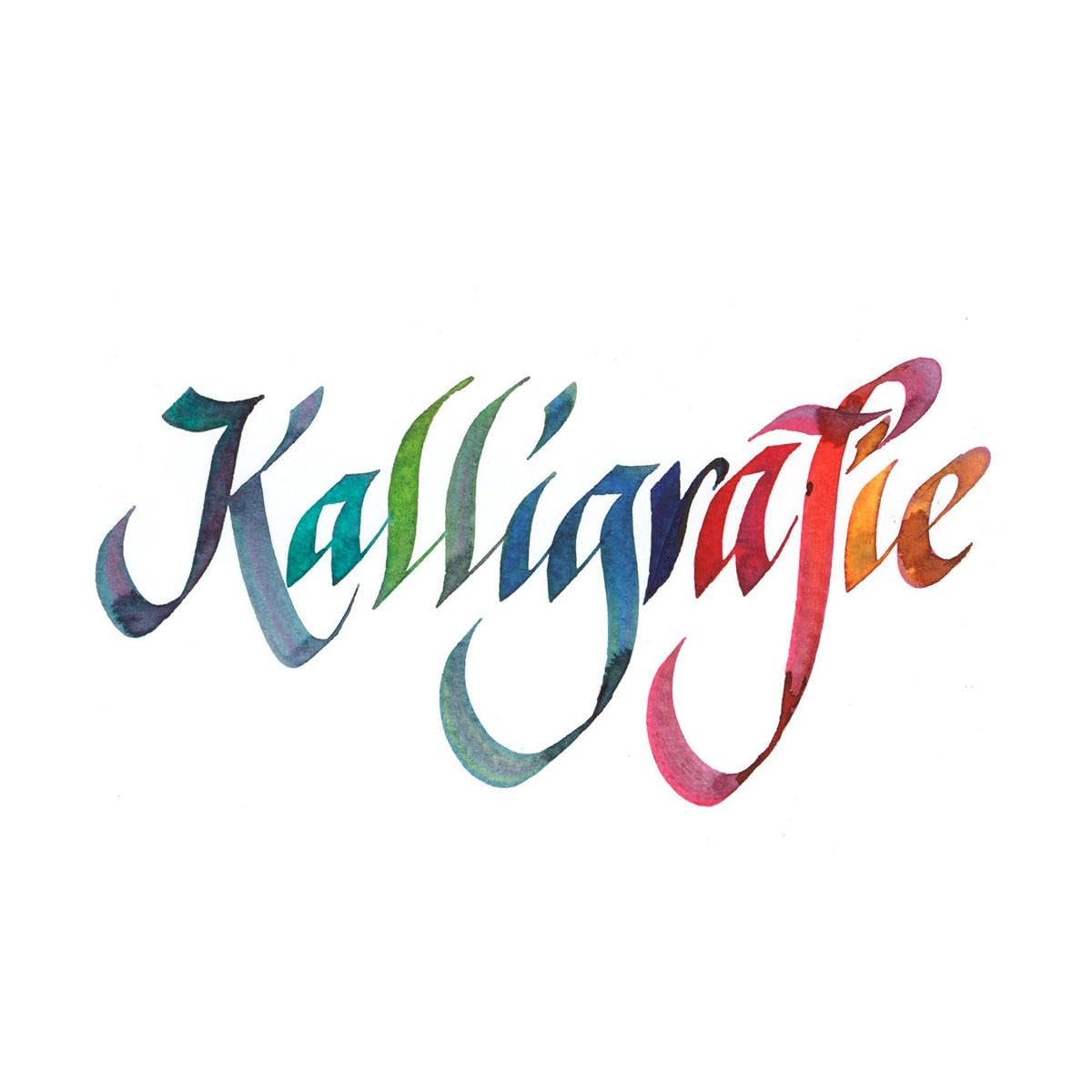 Rohrer & Klingner 50 ml Bottle Fountain Pen Ink, Iron Gall Nut-Ink, Salix