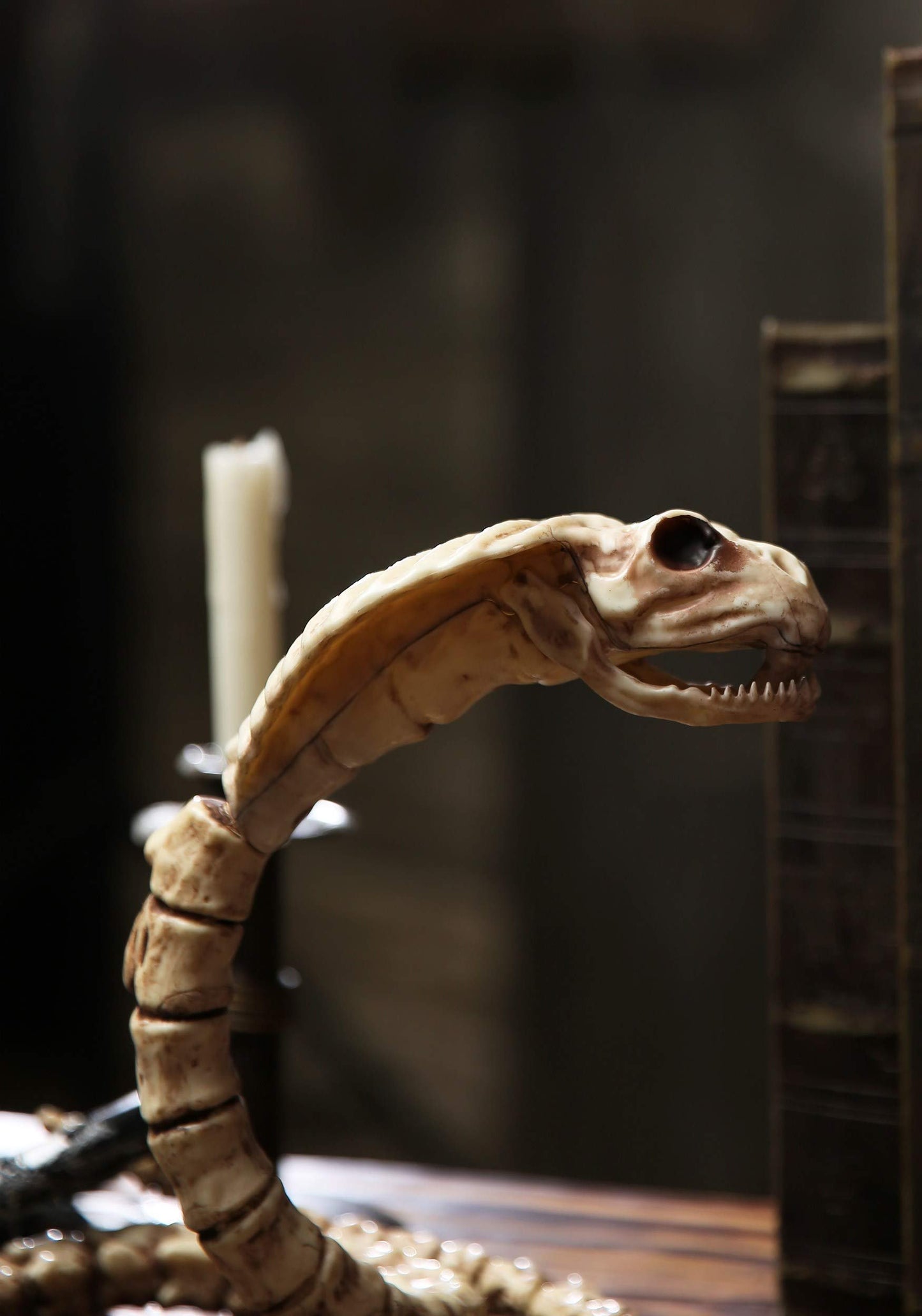 Crazy Bonez Skeleton Cobra