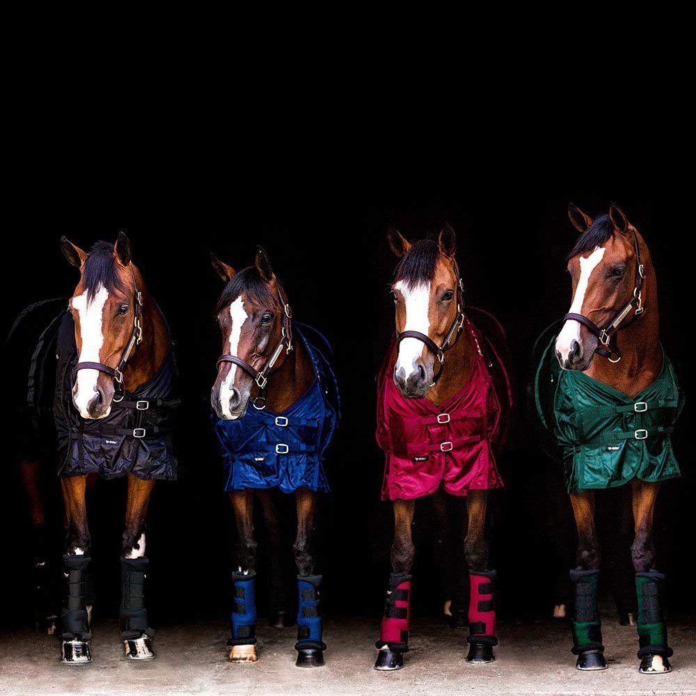 BACK ON TRACK Horse Mesh Sheet