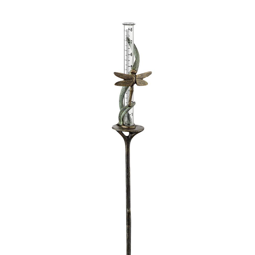 Dragonfly on Vine Rain Watcher