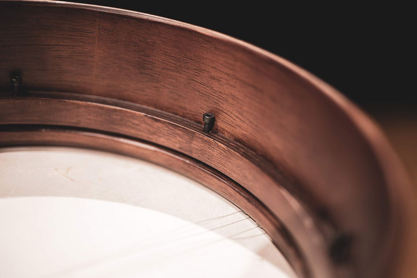 MEINL Percussion マイネル フレームドラム Goat Skin Bendir 【国内正規品】