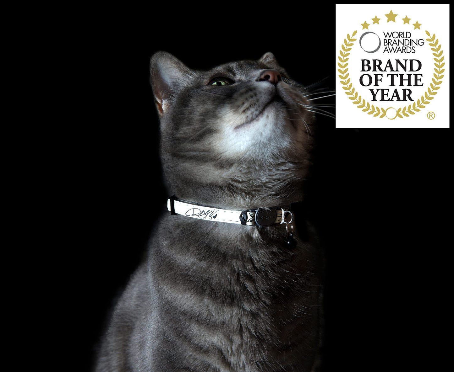 Rogz Catz GlowCat Collar, Black Cat