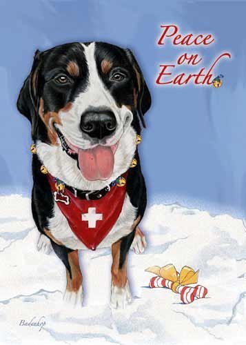 Pipsqueak Greater Swiss Mountain Dog Christmas Cards : 10 Holiday Cards with Red Envelopes - ADORABLE!