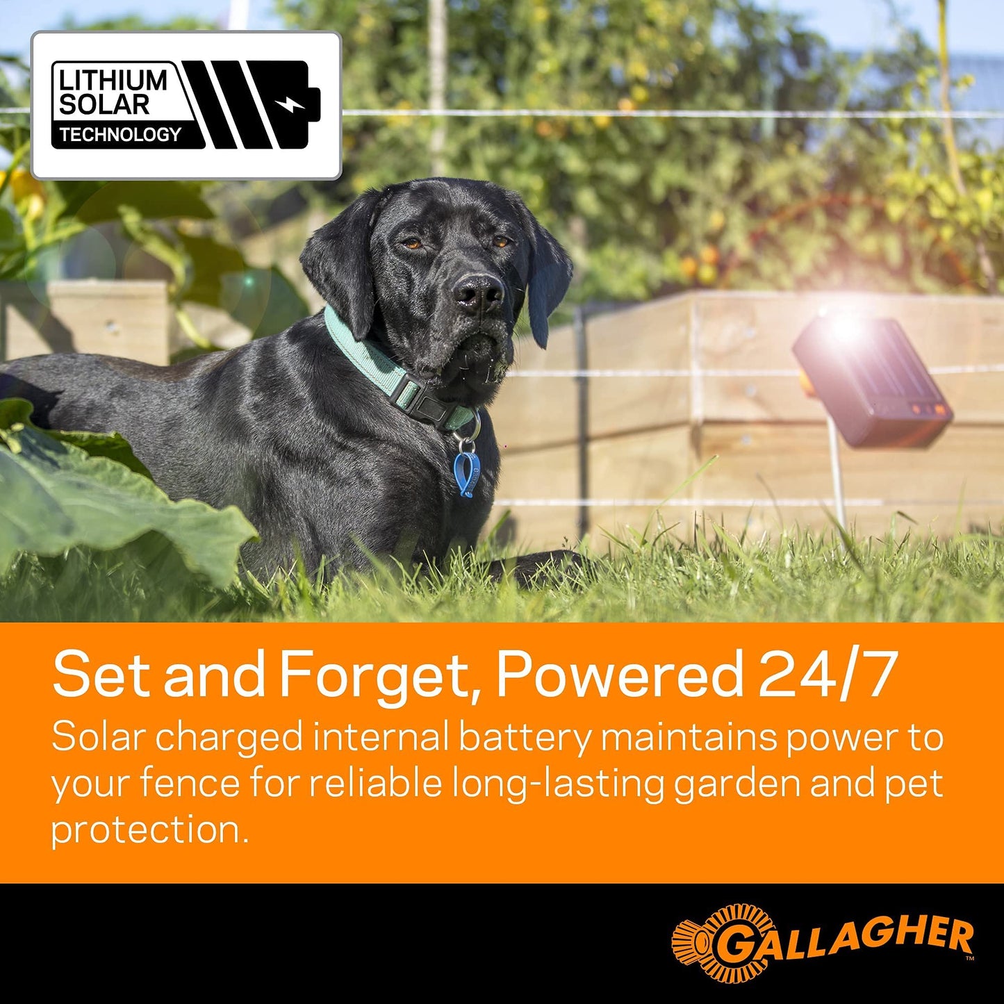 Gallagher S6 Solar Fence Charger | Compact Electric Fence Energizer for Pets, Gardens, and Small Livestock | Solar-Powered with Lithium Battery | Mounts Directly to Metal Rod | Off-Grid Ready