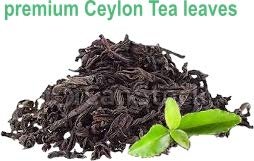 Huckleberry Haven Marionberry & Blackberry Flavor Ceylon Tea Combo Pack - 40 Wild Berry Tea Bags
