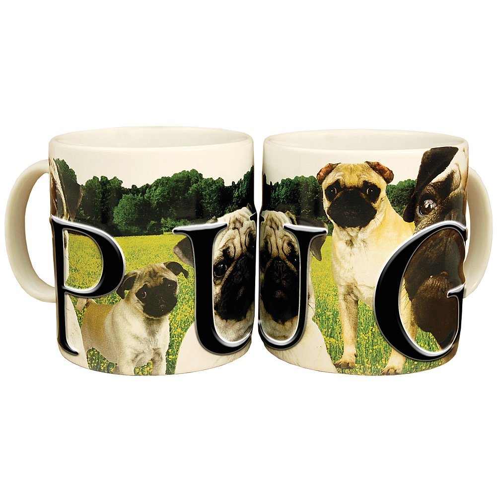 Americaware, My Pet Mug, Best Friend Series, Pug, Raised Lettering, 18 oz