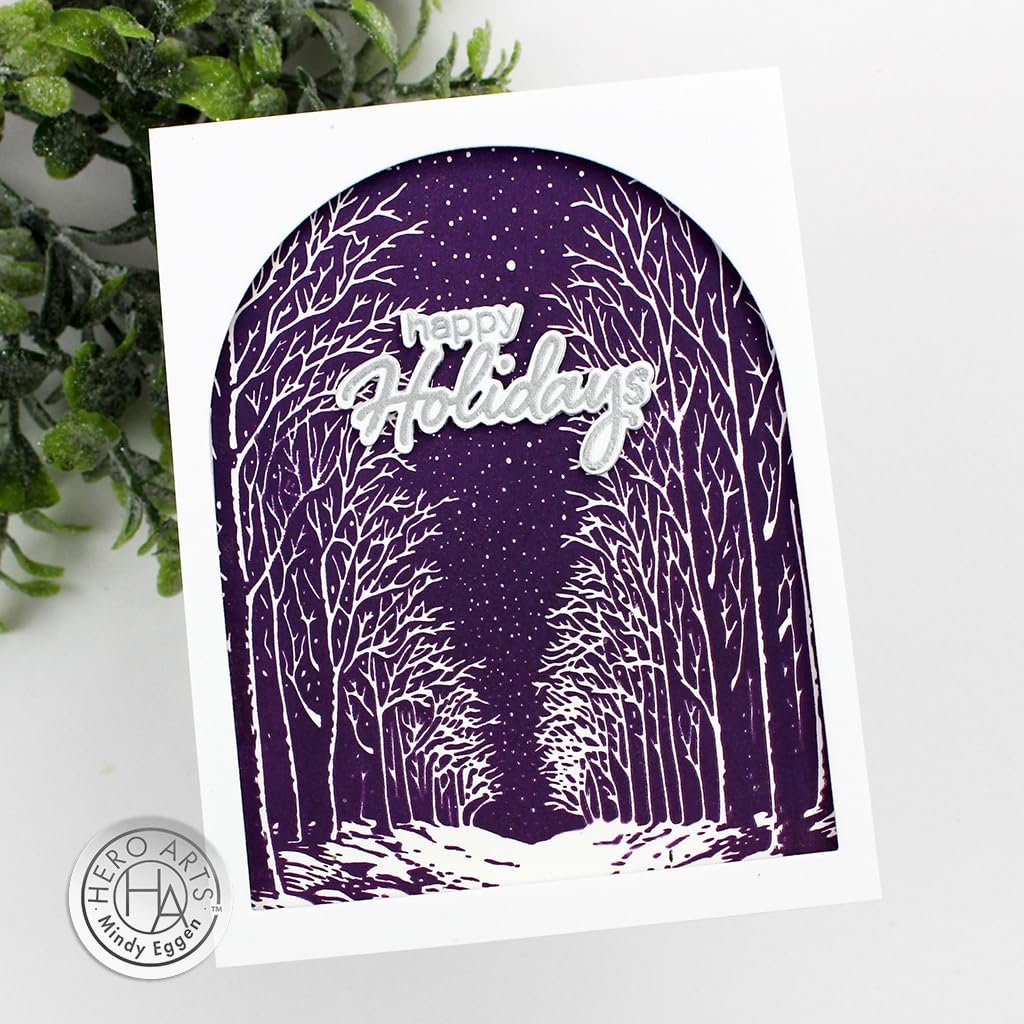 Hero Arts HP101 Snowy Night Letterpress and Foil Plate