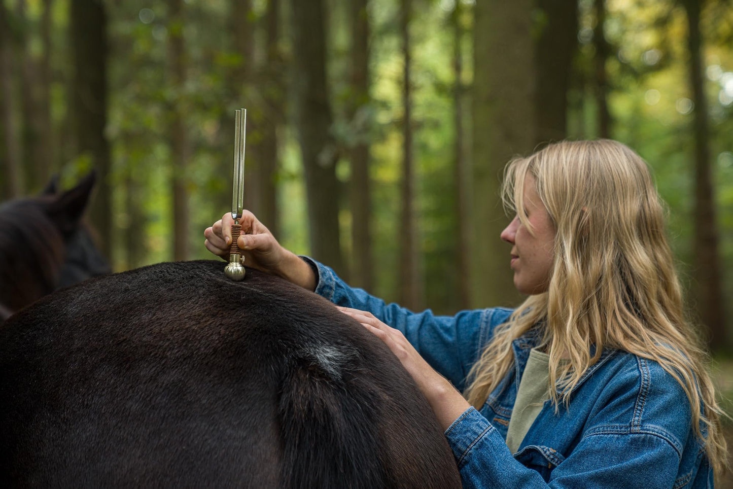Tuning Fork Vibration Foot For Calming Meditation, Sound Healing, and Yoga