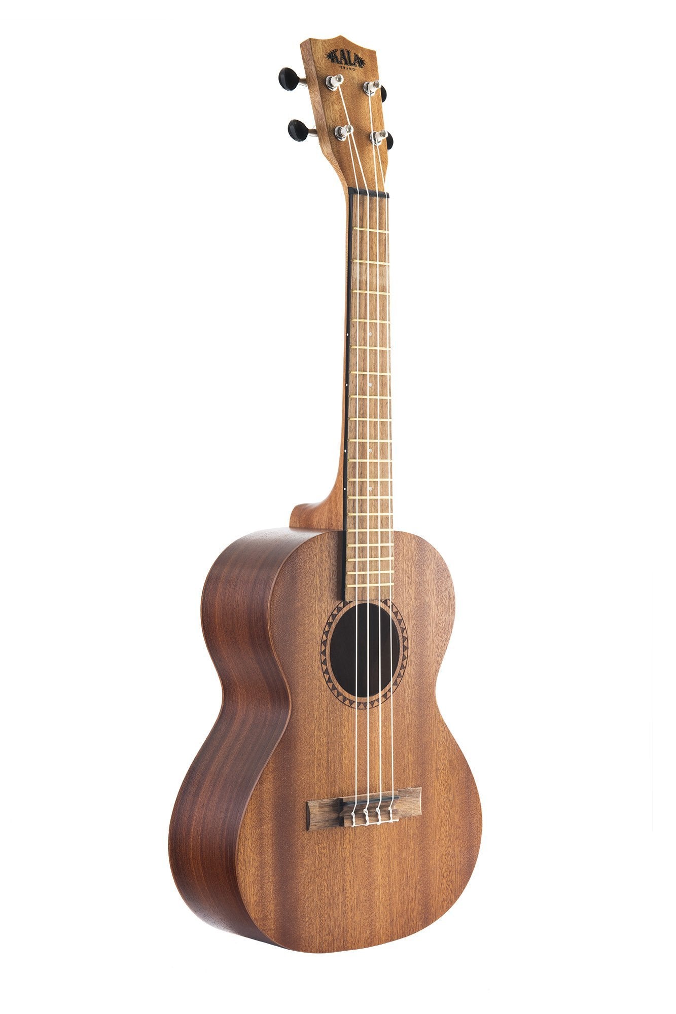 Kala Learn To Play Ukulele Starter Kit (KALA-LTP-S)