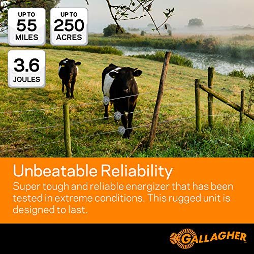 Gallagher M360 Electric Fence Charger | 3.6 Joules for Livestock, Pastures & Perimeter Control | Powers Up to 55 Miles of Fence or 250 Acres | 110V AC Powered Energizer with Lightning Protection