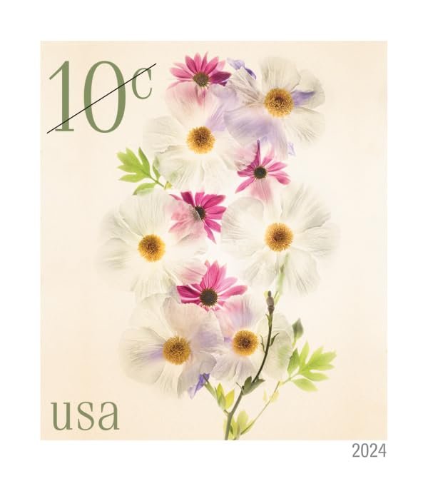 Poppies and Coneflowers 2024 10-Cent (Sheet of 20) Ten-Cent Denominated Mail-use Additional Postage Stamps