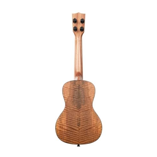Kala Brand Music Co., 4-String Ukulele, Right, Natural, Concert (KA-CM-C)