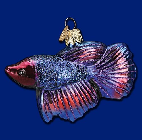 Betta Tropical Fish Old World Christmas Glass Ornament 12384 Decoration Free Box