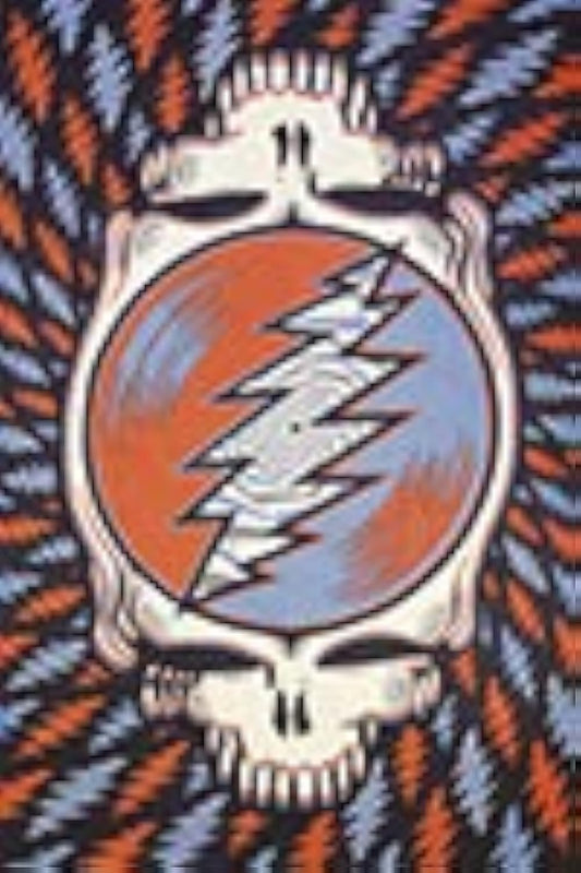 Sunshine Joy Grateful Dead 3D Spin Your Face Stealie Tapestry Wall Art