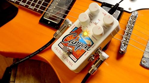 Electro-Harmonix Canyon Delay & Looper Pedal