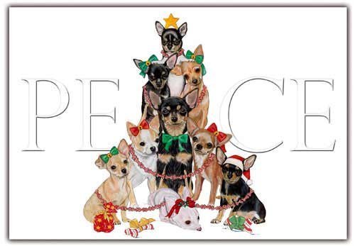 Pipsqueak Chihuahua Christmas Cards : 10 Holiday Cards with Envelopes