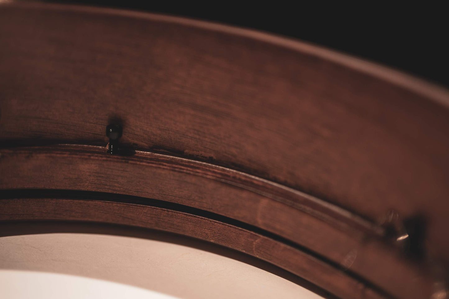 MEINL Percussion マイネル フレームドラム Goat Skin Bendir 【国内正規品】