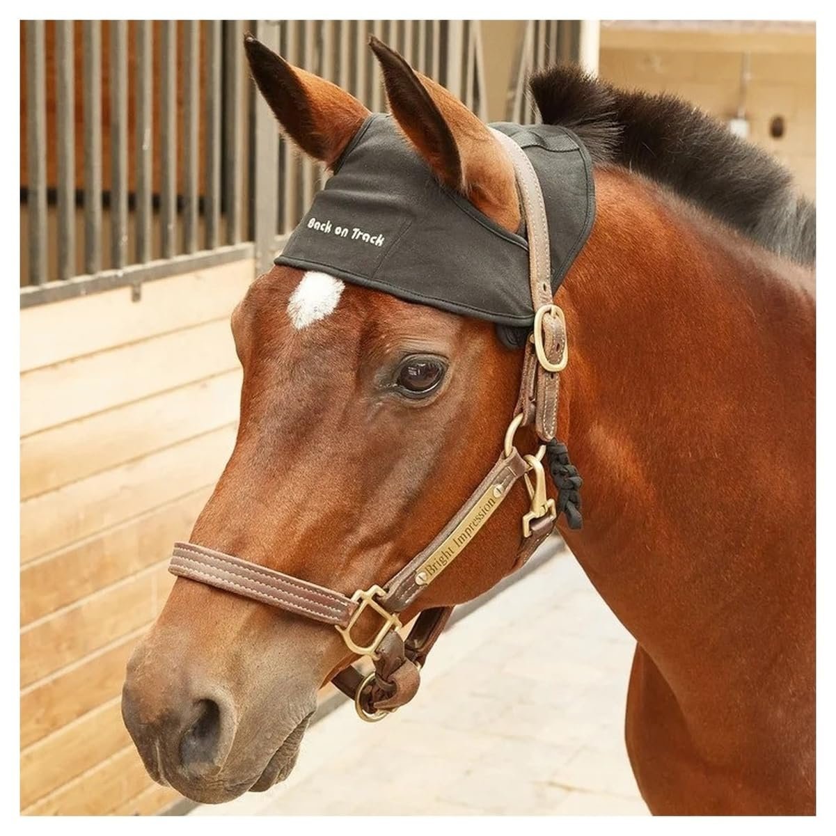 Back on Track Halter