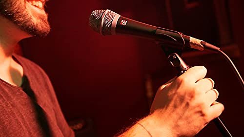 SE ELECTRONICS - Mic Capsules