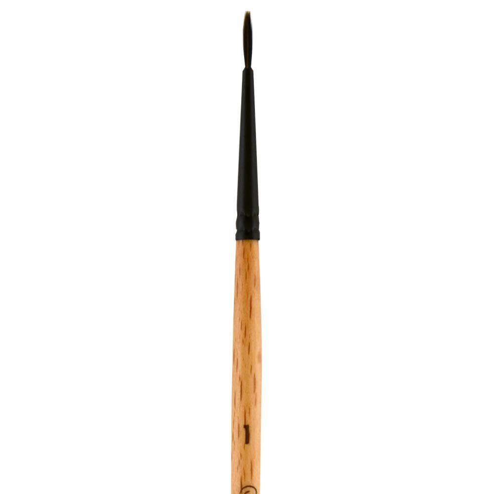 Princeton Paintbrush