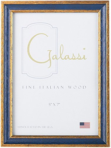 FG Galaasi Primary Blue Traditional Frame 8 x 10