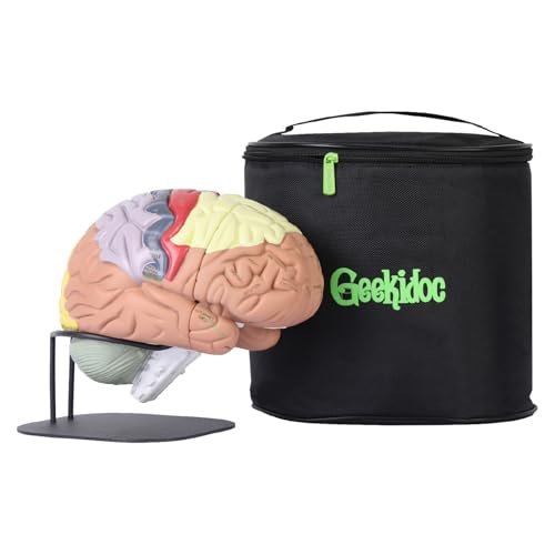 Geekidoc Human Brain Model with Laser-Engraved Numbers and Labeling | Includes Sturdy Metal Stand, Lightweight Carrying Case and Magnetic Dissections | 2x Life-size Human Brain Anatomy Model