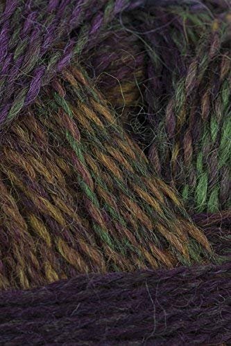 Schoppel Wolle - Zauberball Crazy Knitting Yarn - Maroon/ Green/ Brown (#2312)