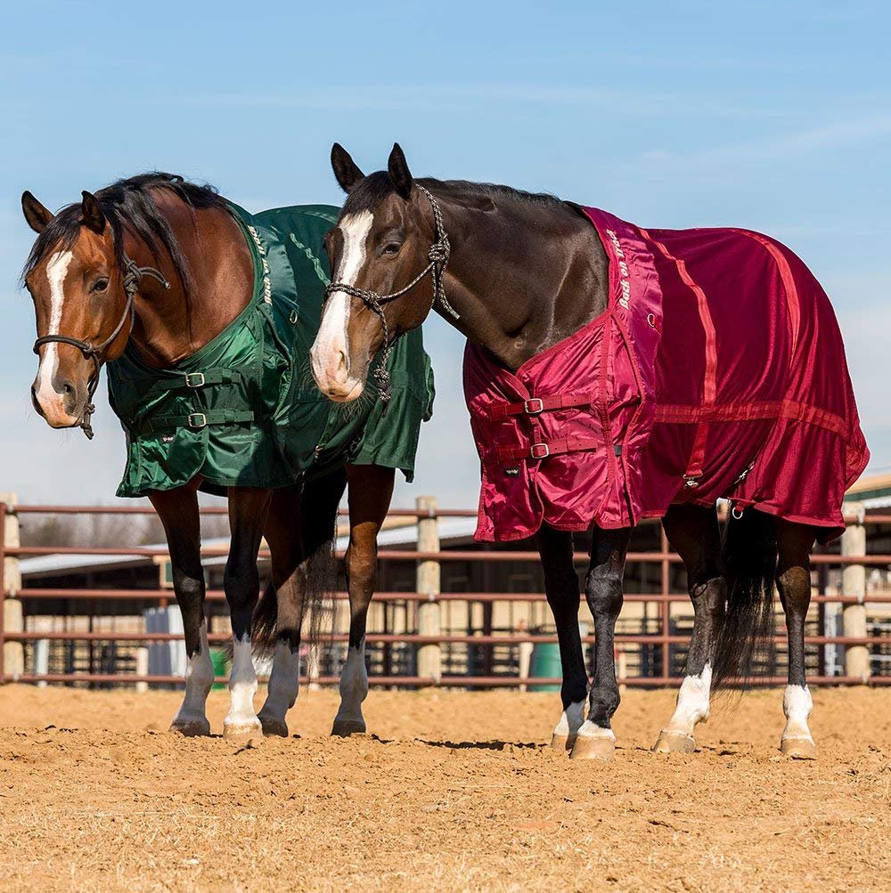 BACK ON TRACK Horse Mesh Sheet