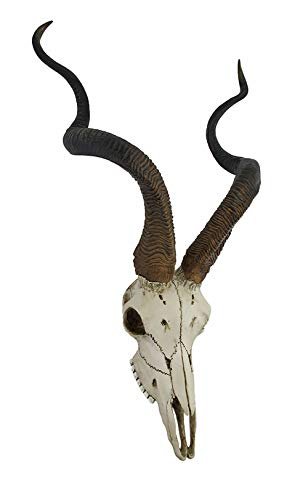 Veronese Design African Kudu Antelope Skull Wall Hanging Cool Twisted Horns