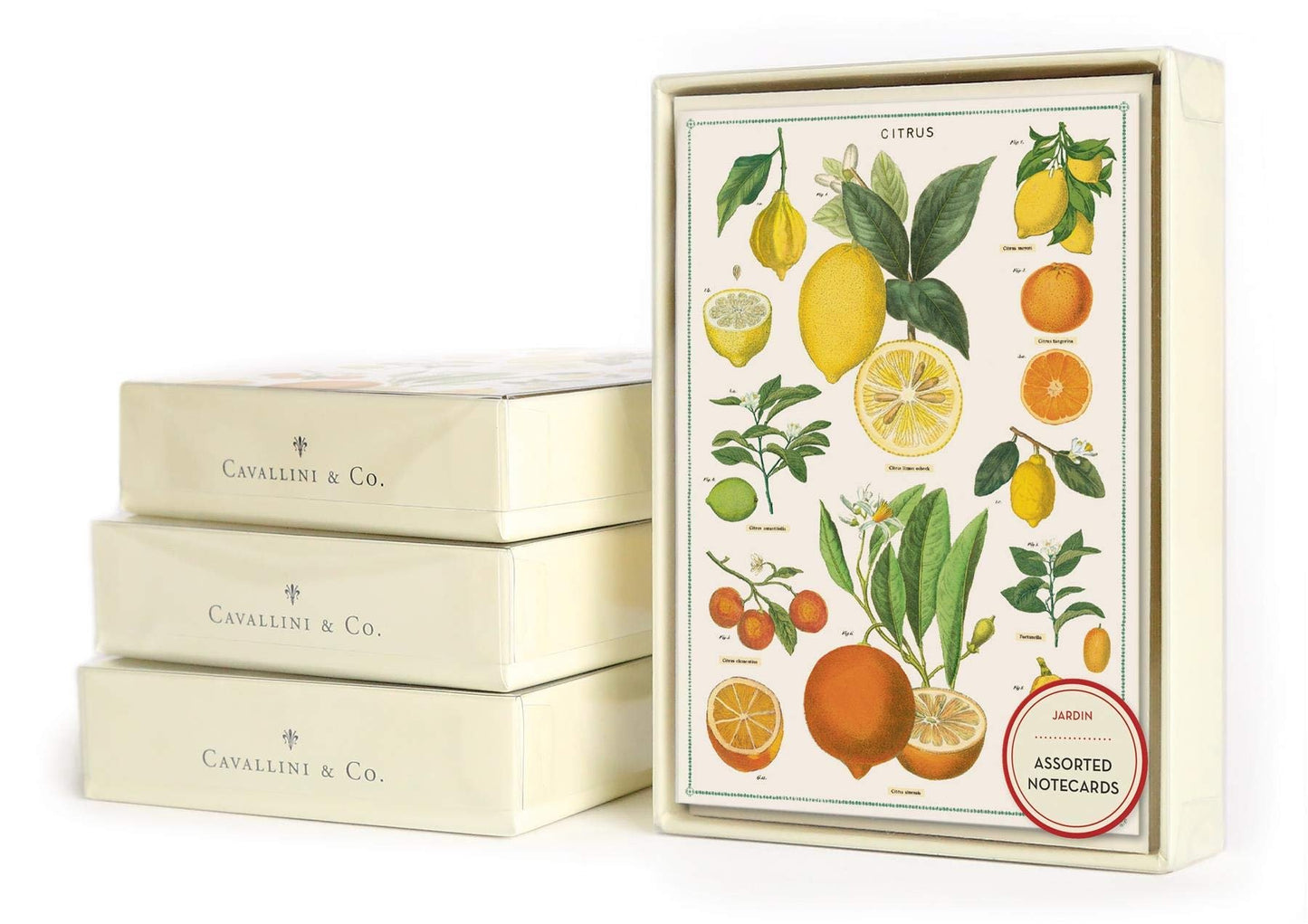 Jardin Boxed Note Cards