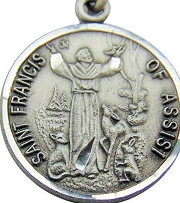 Saint Francis Pewter Medal Pendant 3/4 Inch on 24 Inch Stainless Steel Chain Gift