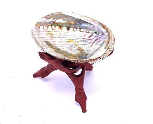 Zentron Crystal Collection Abalone Shell and Tripod Stand