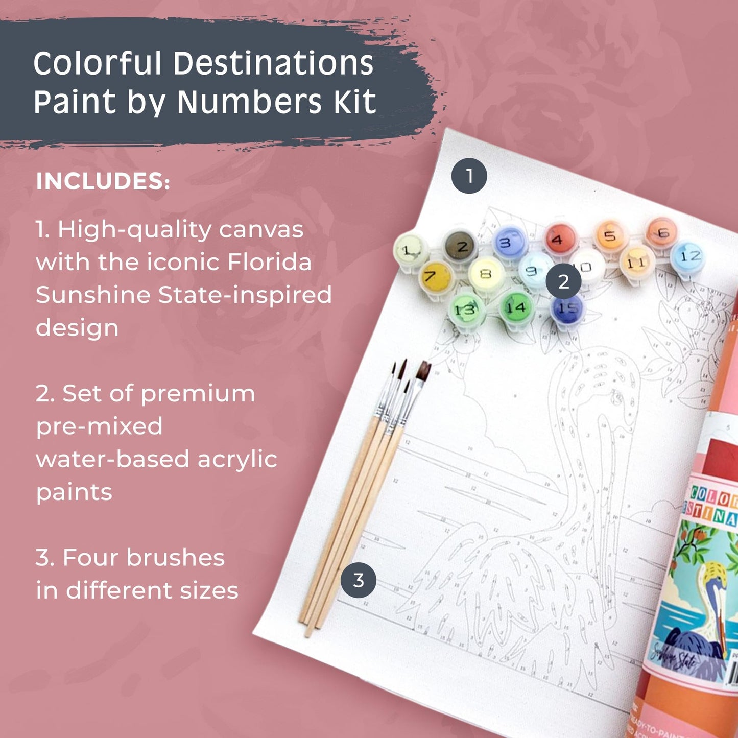Pink Picasso Mid Century Modern Paint by Numbers Kits, 8x10…