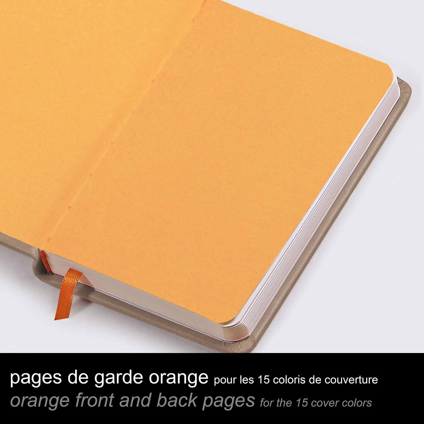 Rhodia Webbie Notebook