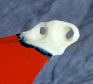 Polyvance PlastiFix Kit (White)