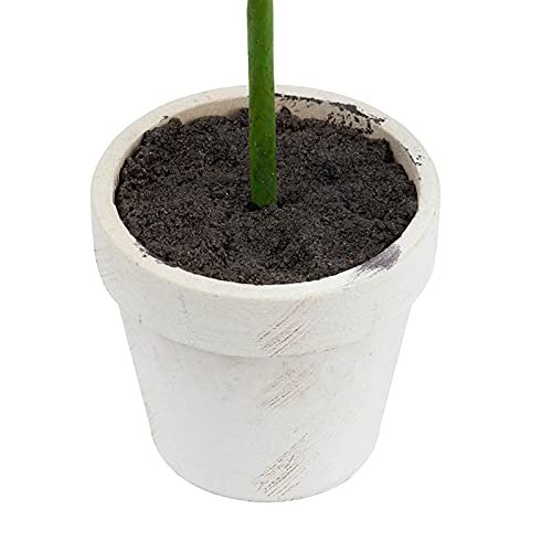 A&B Home Artificial Plants
