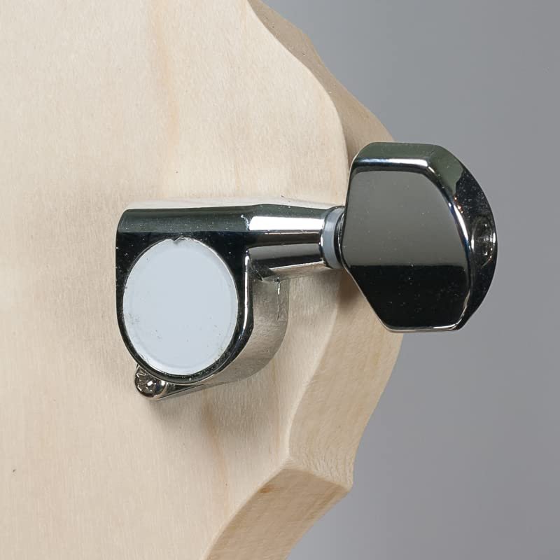 Deering Goodtime Openback 5 String Banjo - Best Beginner Banjo | Made In U.S.A.