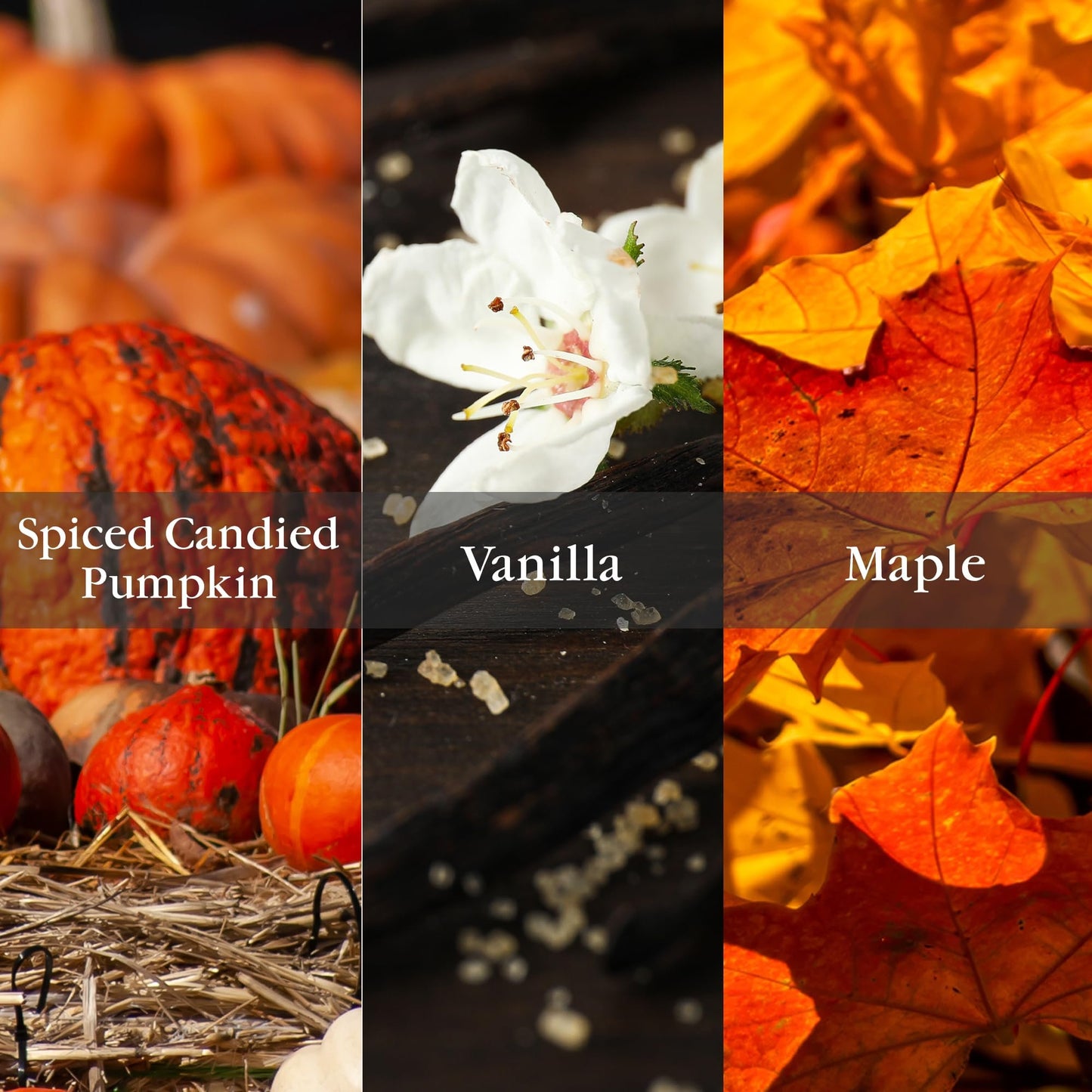 Aromatique Pumpkin Spice Fragrant Refresher Oil .5 fl oz