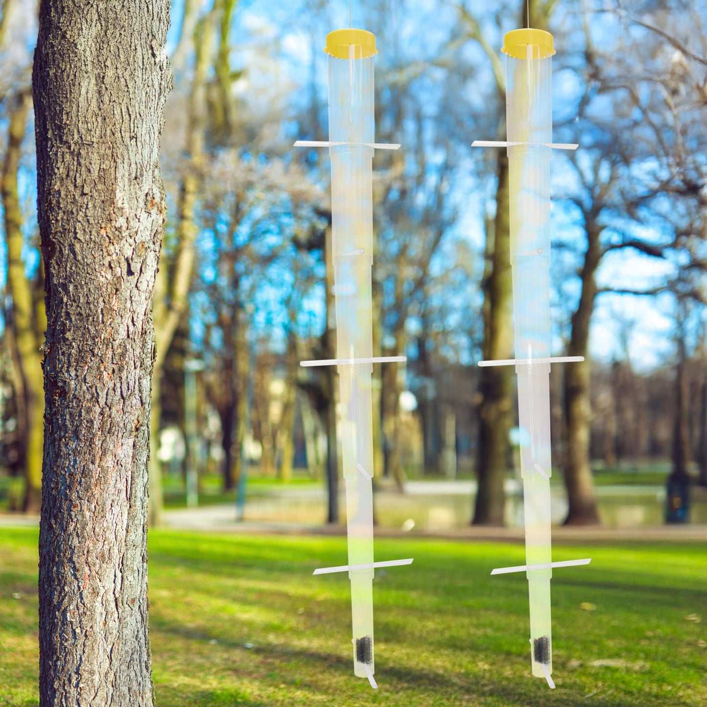 S&K Tornado Clear Collapsible Finch Feeders, Pack of 2