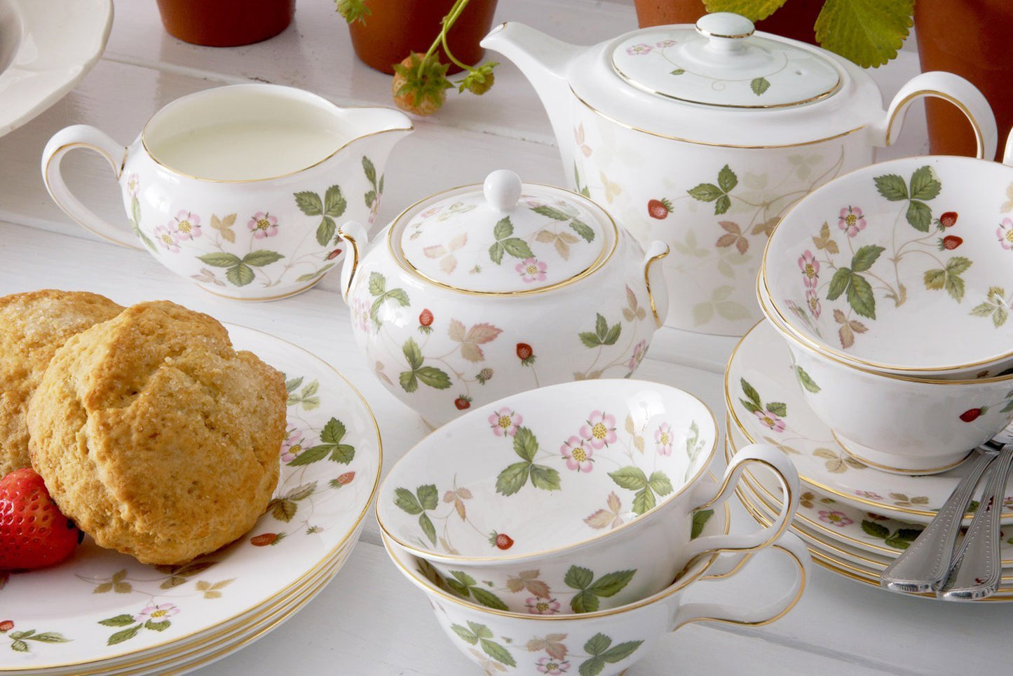 Wedgwood Wild Strawberry Beaker Delphi