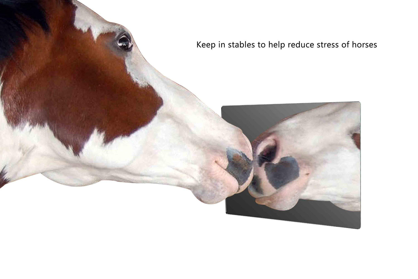 Marketing Holders Plastic Mirror Sheet Camping Daycare Gym Driveway Spot Restrooms Speech Therapy Jewelry Makeup