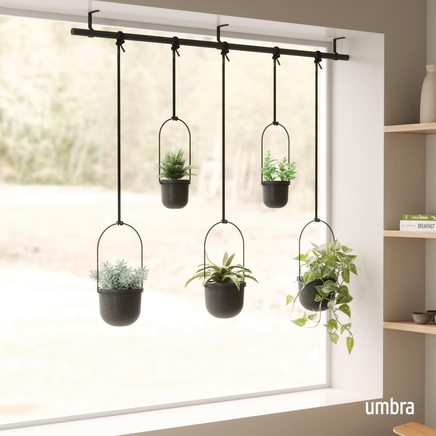 Umbra Triflora Hanging Planter for Window