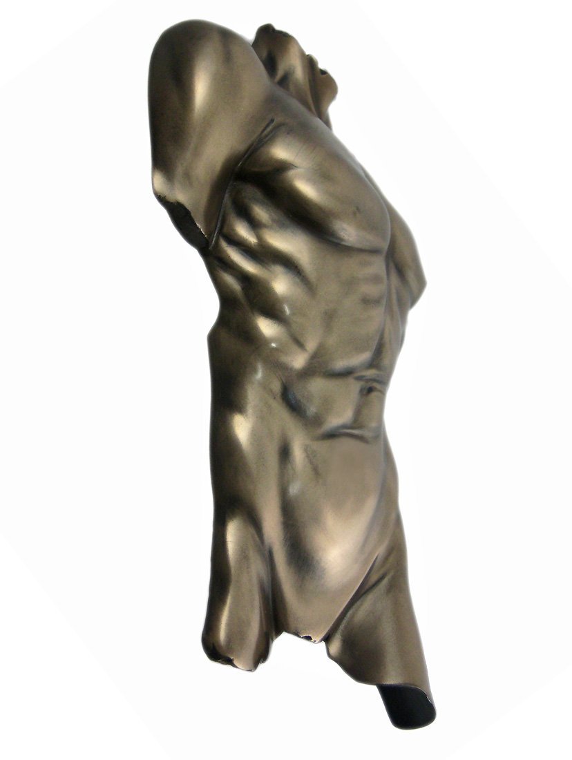 Veronese Bronze Finish Nude Male Torso Wall Hanging Figure Anatomy