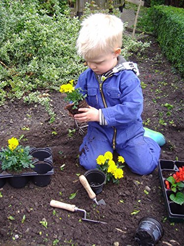 Dewit Junior Kid's Garden Tools