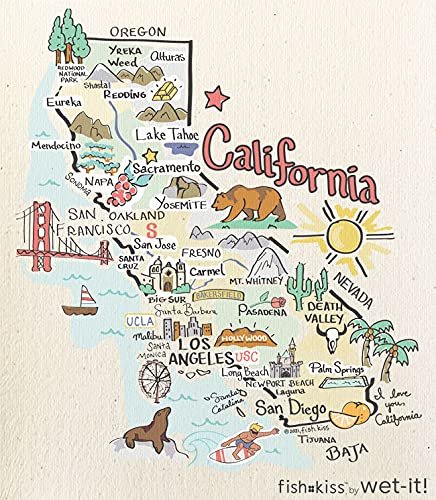 Wet-It! Swedish Dishcloth States – Reusable Paper Towels, Highly Absorbent & Biodegradable Dish Cloths, Non-Scratch, Durable, Machine Washable Cleaning Towels