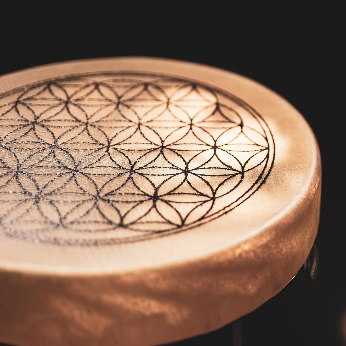 Meinl Sonic Energy Native American Style Hoop Drum