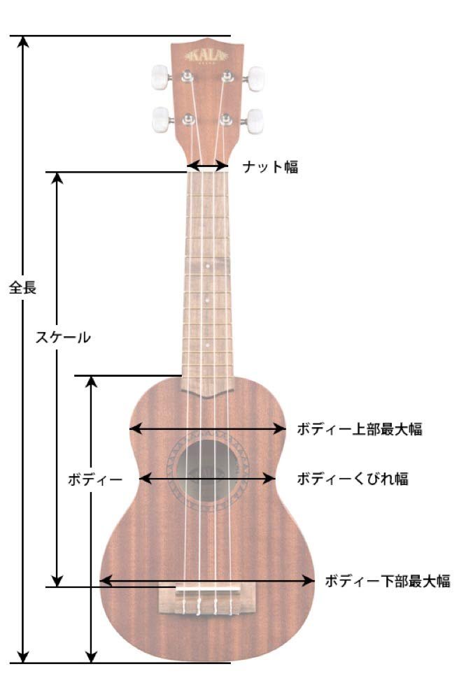 Kala UBASS-EBY-FSRW Striped Ebony Acoustic-Electric Ukulele Bass with Round Wounds
