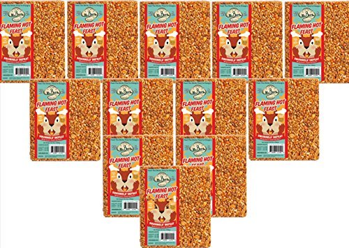 12-Pack of Mr Bird's Flaming Hot Feast Large Wild Bird Seed Block 1 lb. 9 oz.