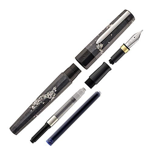 Benu Euphoria Fountain Pen (Caviar, Fine Nib)