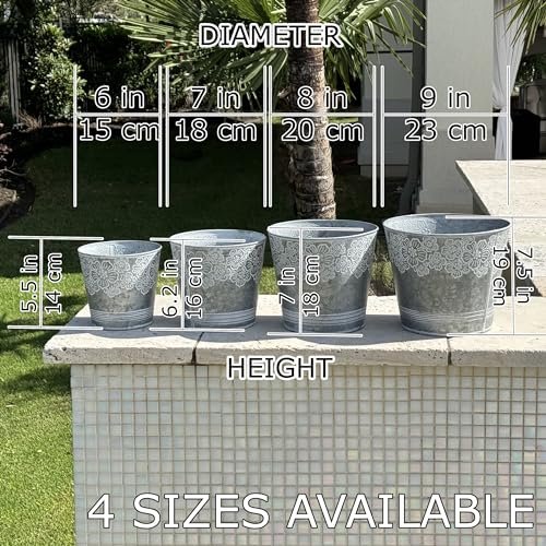 allgala llgala Galvanized Planter Pot Indoor and Outdoor Decoration-Round